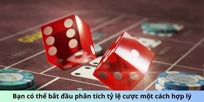 Bạn có thể bắt đầu phân tích tỷ lệ cược một cách hợp lý