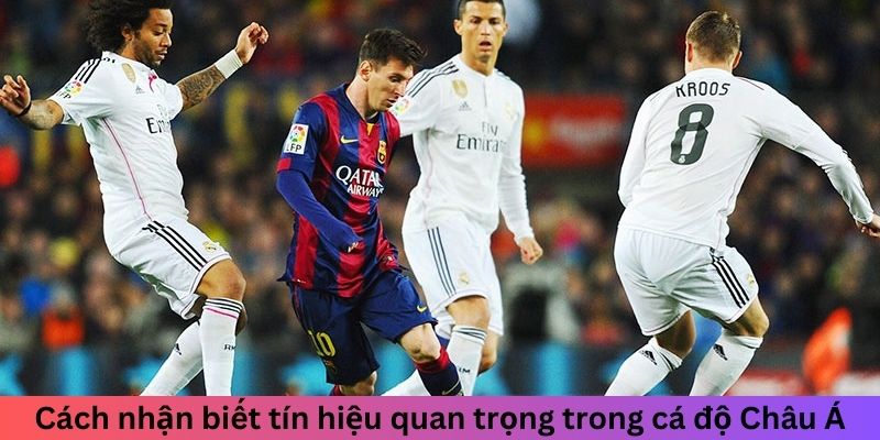 Cách nhận biết tín hiệu quan trọng trong cá độ Châu Á