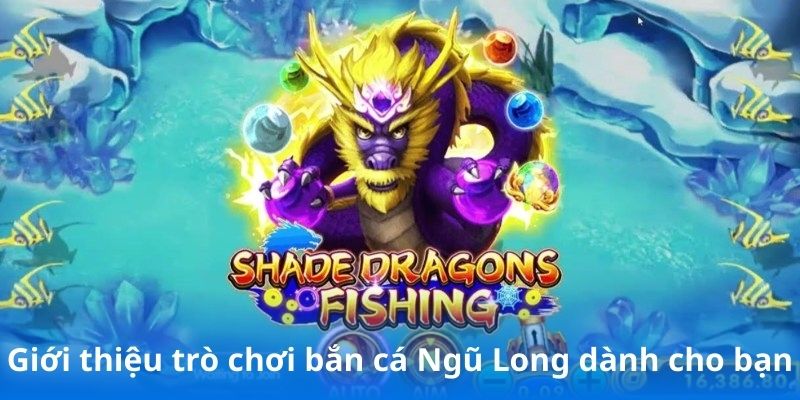 Giới thiệu trò chơi bắn cá Ngũ Long dành cho bạn