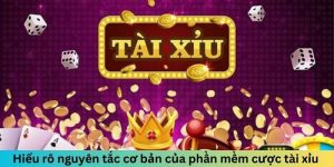 Hiểu rõ nguyên tắc cơ bản của phần mềm cược tài xỉu 