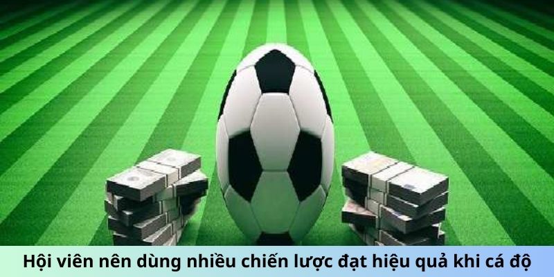 Hội viên nên dùng nhiều chiến lược đạt hiệu quả khi cá độ