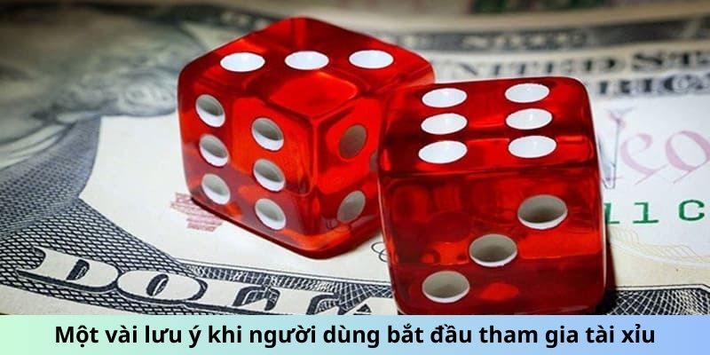 Một vài lưu ý khi người dùng bắt đầu tham gia tài xỉu