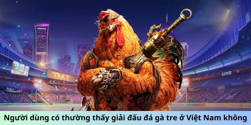 Người dùng có thường thấy giải đấu đá gà tre ở Việt Nam không?