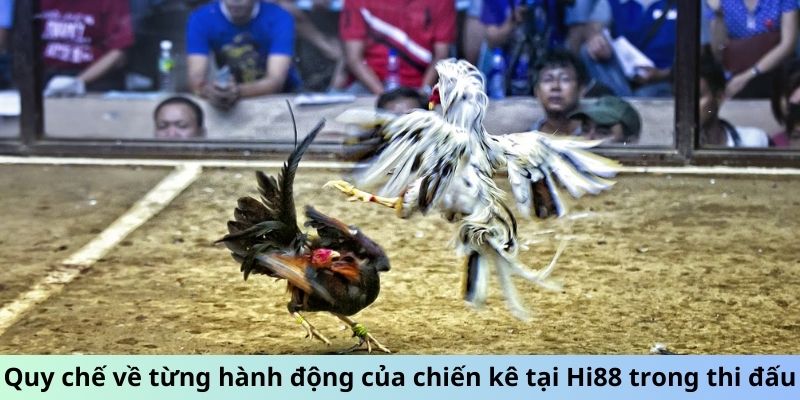 Quy chế về từng hành động của chiến kê tại i9bet trong thi đấu