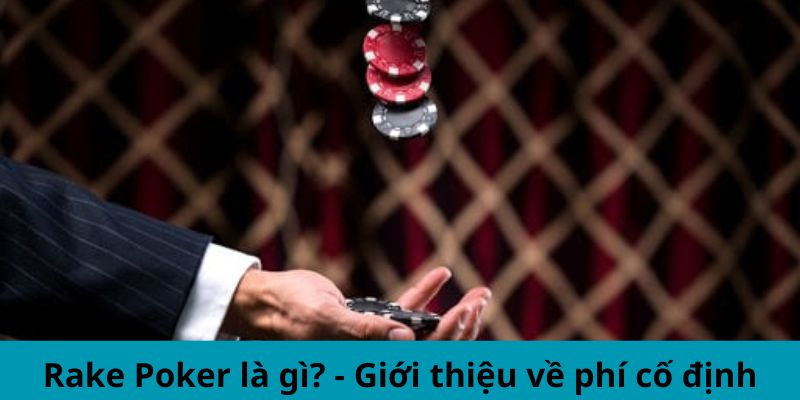 Rake poker là gì? - Giới thiệu về phí cố định