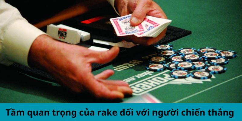 Tầm quan trọng của rake đối với người chiến thắng 