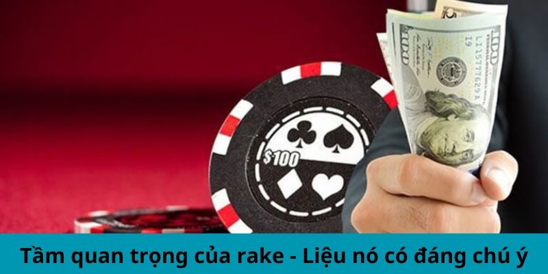 Tầm quan trọng của rake - Liệu nó có đáng chú ý